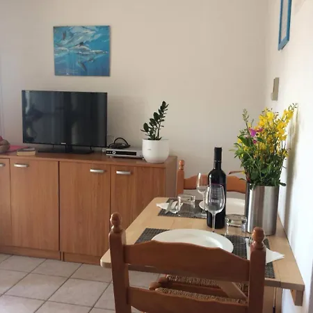 Gorgonia & Apartment