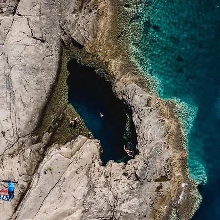 Gorgonia & 아파트