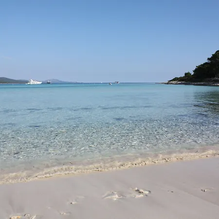 Apartment Gorgonia &