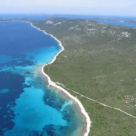 Gorgonia & Apartment *