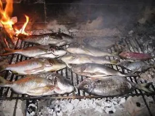 Lägenhet Gorgonia &