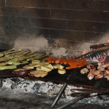 Gorgonia &