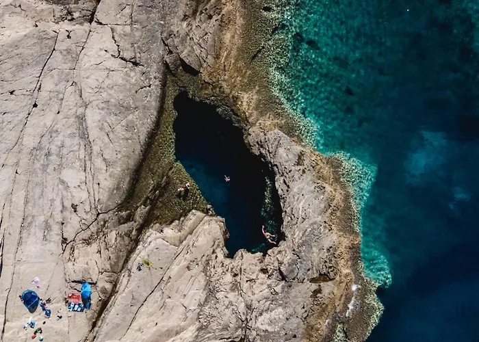 Gorgonia & 아파트