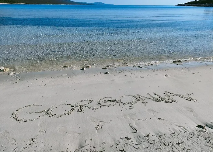 아파트 Gorgonia &