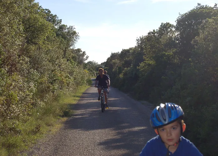 Gorgonia & 아파트 *