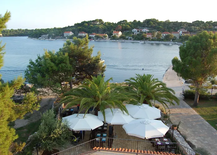 Gorgonia & 아파트 *