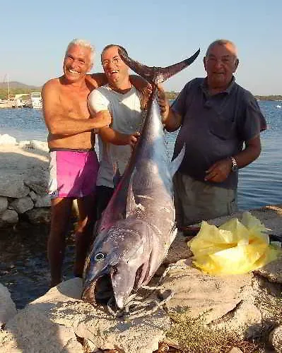 아파트 Gorgonia & *