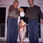 Διαμέρισμα Gorgonia & *