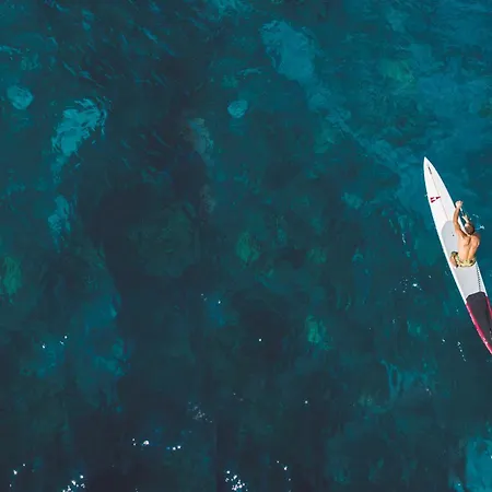 Appartement Gorgonia & Verunić