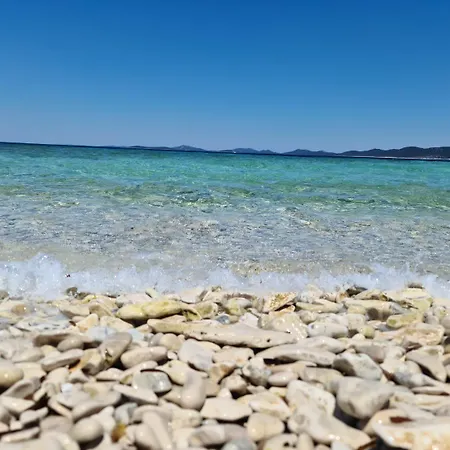 Gorgonia & Appartement Verunić