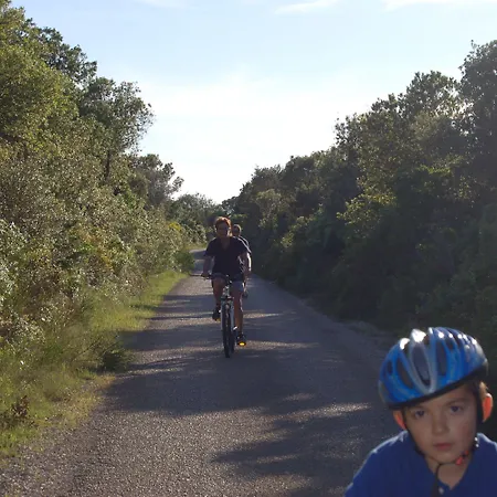 Gorgonia & Appartement *