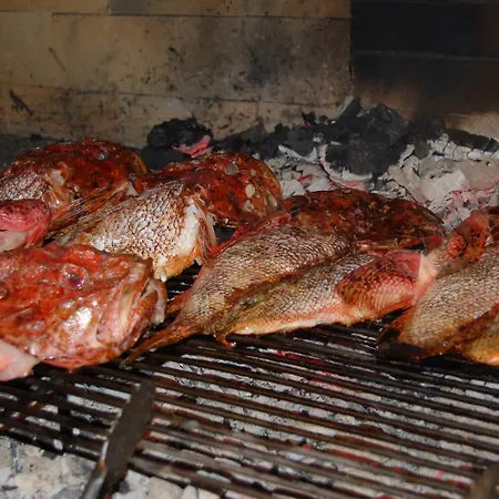 Gorgonia &