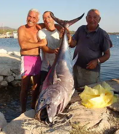 Appartement Gorgonia & *