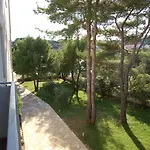 Gorgonia & * Verunić