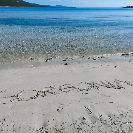 Daire Gorgonia &