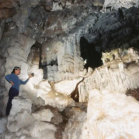 Gorgonia & Verunić
