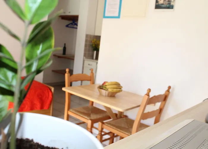 Apartman Gorgonia &