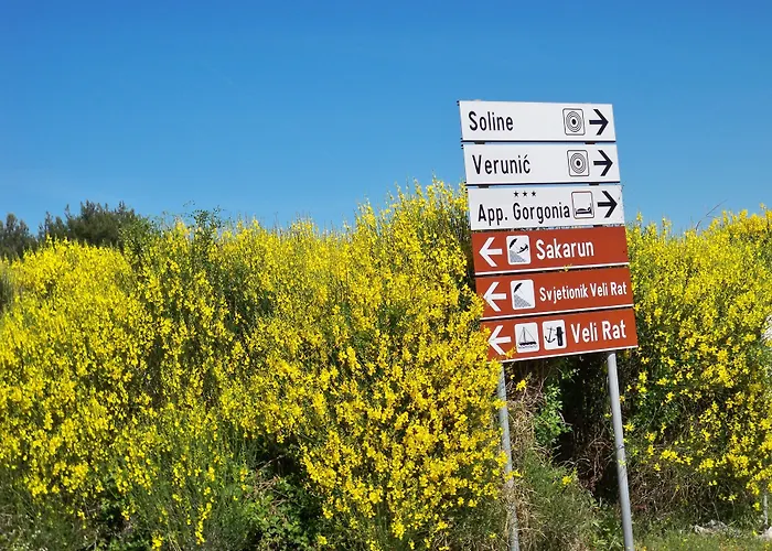 Apartman Gorgonia & *