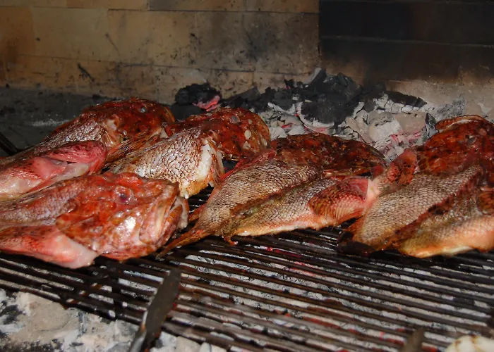 Gorgonia &