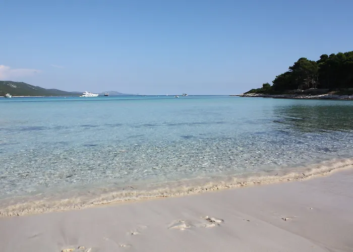 Apartman Gorgonia &