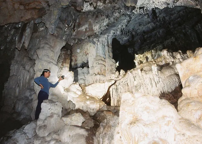 Gorgonia & Verunić